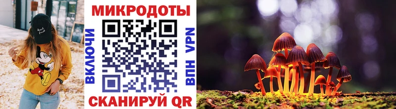 площадка клад  где купить наркоту  Новодвинск  Галлюциногенные грибы мухоморы 